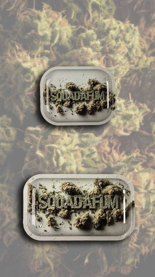 Bandeja de Metal Buds — foto 1 de 1